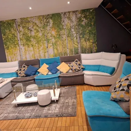 아파트 Duplex De 4 Vénissieux