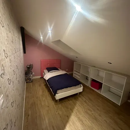 شقة Duplex De 4 Vénissieux